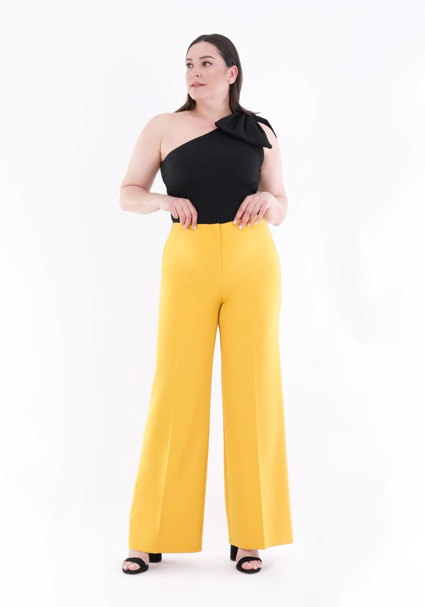 Wide Leg Pants - Regular & Plus Size Flare Trousers