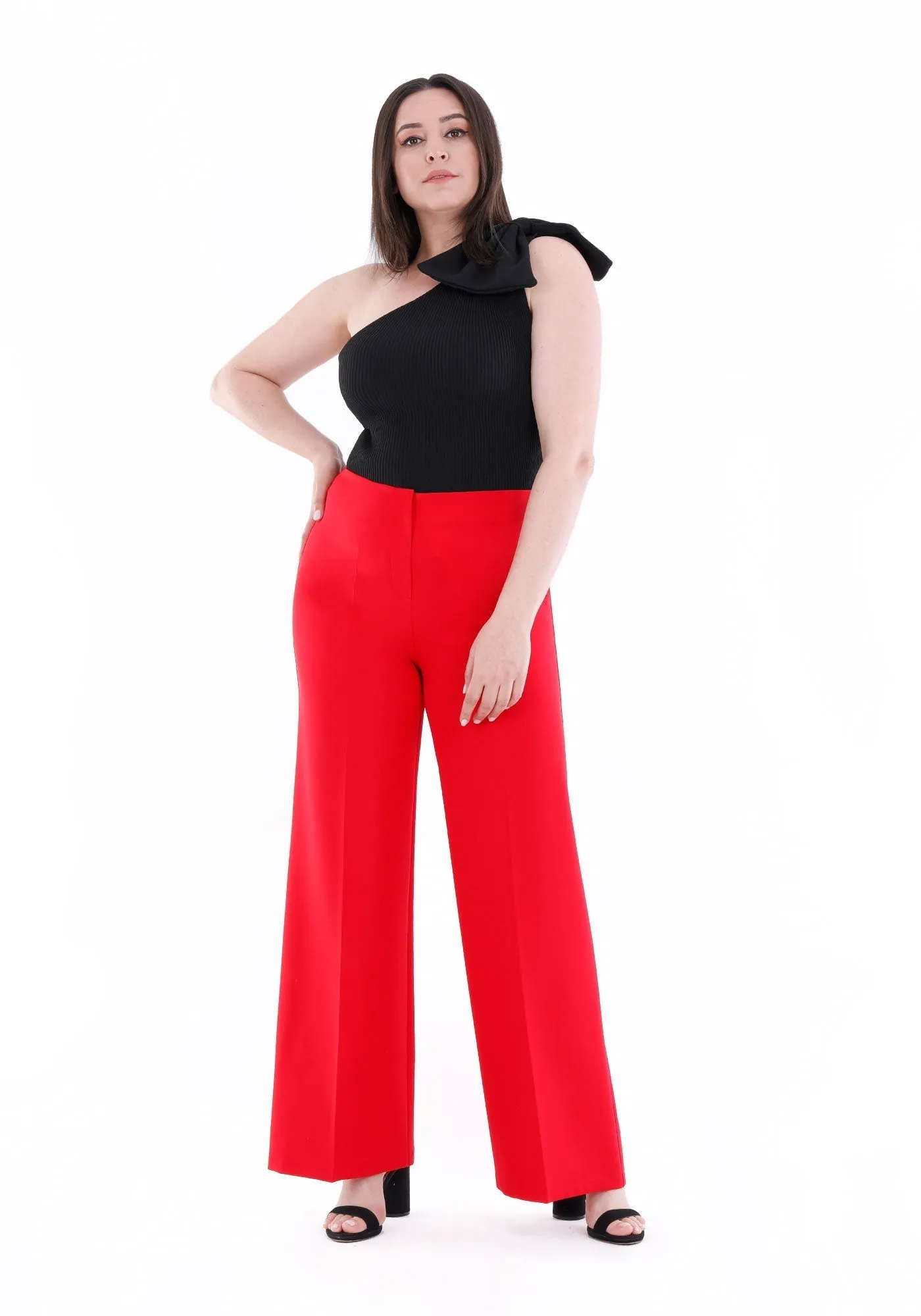 Wide Leg Pants - Regular & Plus Size Flare Trousers